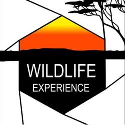 L'Œil Sauvage - Wildlife Experience