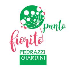 Punto Fiorito