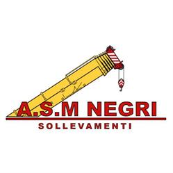 A.S.M. SOLLEVAMENTI TRASPORTI SCAVI SAGL