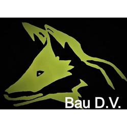 Bau D.V. Voss