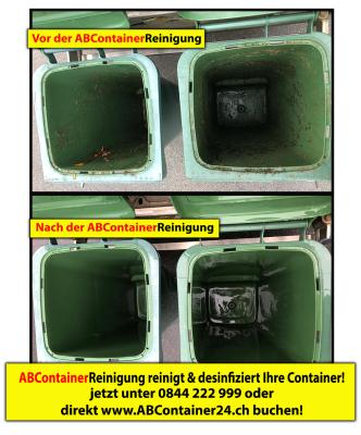 Container-Reinigung-Züri
