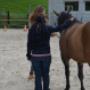 Life Coaching Shania