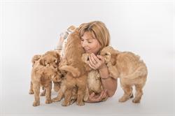 Swiss Cobberdogs GmbH