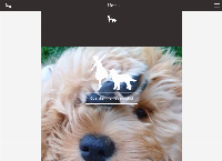 Website von Swiss Cobberdogs GmbH