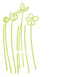 Abt Jardins et Paysages Sàrl
