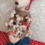House of Mouse