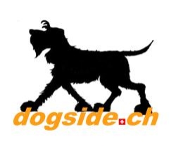 Shop-Dogside