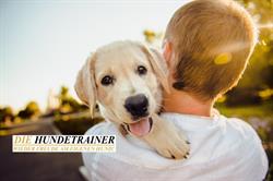 DIE HUNDETRAINER