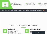 Website von Deposito Ticino Self-Storage