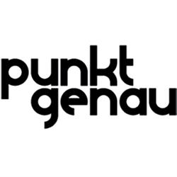 punktgenau Architektur GmbH