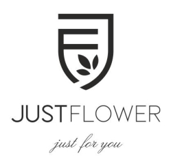 Just Flower GmbH