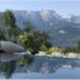 La Compagnie du bien-être - Piscine à débordements à Thônex Genève et La Côte