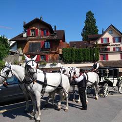 Gasthaus zum Ochsen