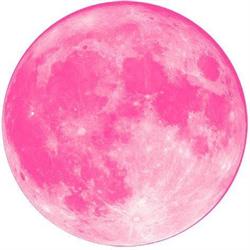 Moonstruck Artist Services GmbH