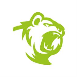 Bear ICT AG