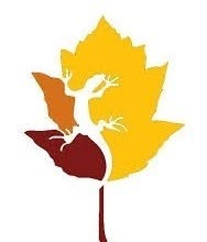 Naturnetz Ticino