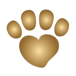 Goldpfote