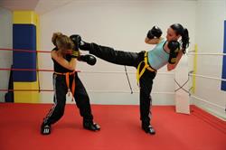 Kickbox-Team Bern