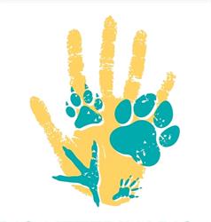 Studio Veterinario