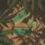 # 2