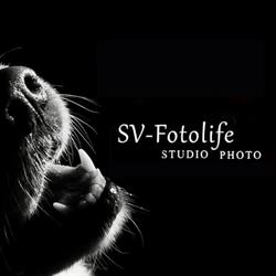 Studio photo SV-fotolife à Pieterlen /Biel-Bienne