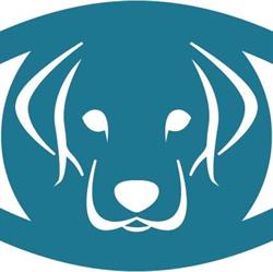 ODINS HUNDESCHULE Buchs ZH