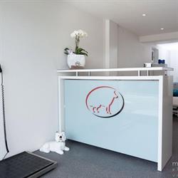 Hundephysio Bern