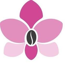 Orchidea cafè