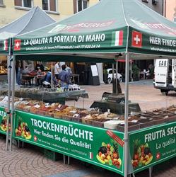 Tutti Servizi sagl