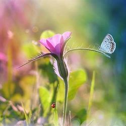 Natur auf Zeit