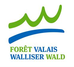 Forêt Valais
