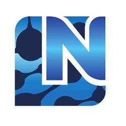 Nelpur