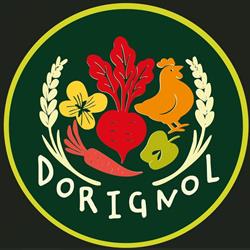 Dorignol
