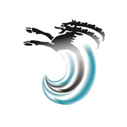 Engadin Spirit