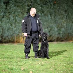 PROTECT DOGS