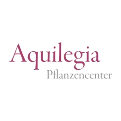 Aquilegia Im Garten Zuhause GmbH