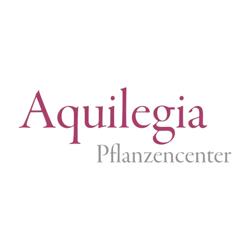 Aquilegia Im Garten Zuhause GmbH