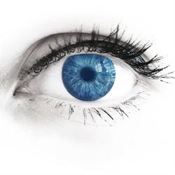 Optik Zentrum Unternährer