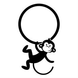 Funky Monkey - Aerial Fitness Studio