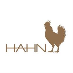 Werbeagentur HAHN media group ag.