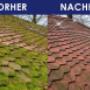 LFV Bedachungen GmbH