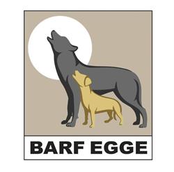 Barfegge
