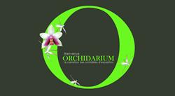 Orchidarium & In Vitro Propagation, Daniel Page