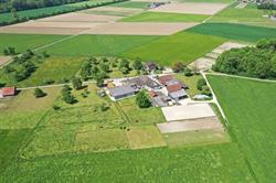 Pferdepension Güntensperger