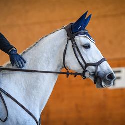Landhus zur Linde / bodenmüller mathias horse-sport