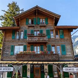Edelweiss Lodge