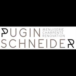 Pugin Schneider