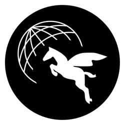Pegasus English School