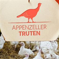 Appenzeller Truten