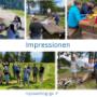 mycoaching2go Unternehmen